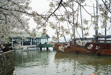 DSC08494.JPG