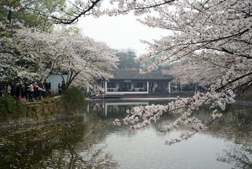 DSC08512.JPG