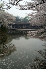 DSC08514.JPG