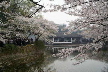 DSC08515.JPG