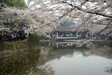 DSC08516.JPG