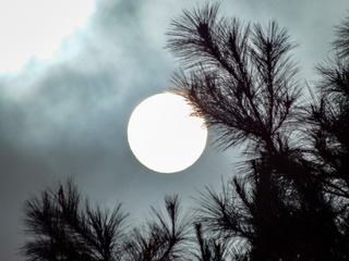 C29423DA-D59F-41BB-9CE8-F744C7BD2EB9/L0/001