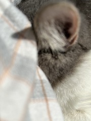 2C9CCCCD-E5A2-4D63-B258-D7CD5B342750/L0/001