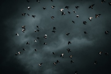 6E7636FA-6D56-4E6D-B5DE-BF10575F3771/L0/001