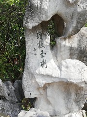 85307