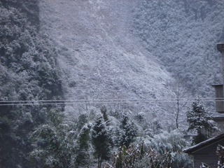 0555C123-6D49-42E6-94DA-29D4934D342B/L0/001