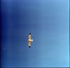 11-004.jpg