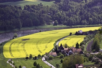 gelbes @ Bastei