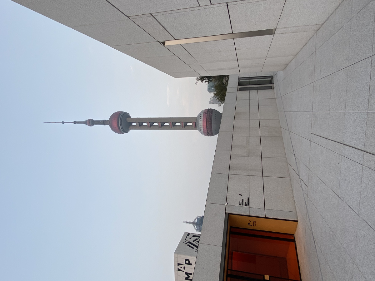 上海浦东美术馆国内美术馆天花板