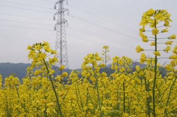 DSC01000.JPG