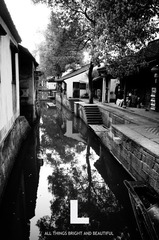 DSC00717.jpg