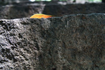 DSC01146.JPG