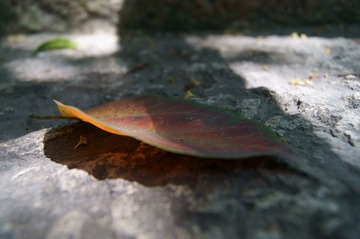 DSC01147.JPG