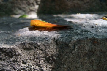 DSC01148.JPG