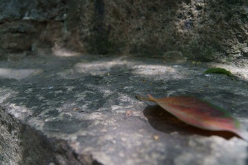DSC01150.JPG