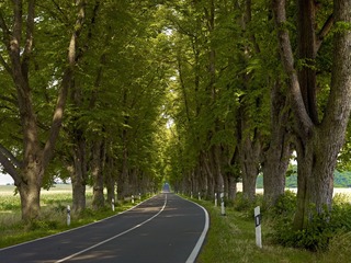 DSC02166.JPG