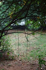 DSC0341.jpg