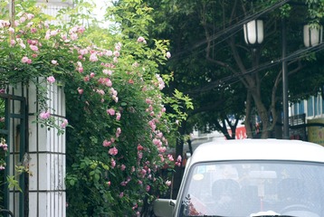 DSC06115a.jpg