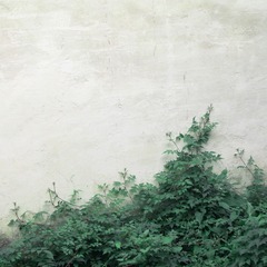 DSC09045-2