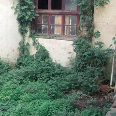 DSC09044-2