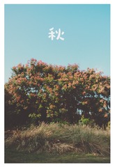 7D6C75EF-64F3-47E1-801A-A52EF358FFA9/L0/001