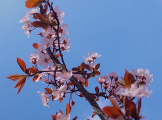 328C1C68-887D-4EB6-BAE7-CF57726C1009/L0/001