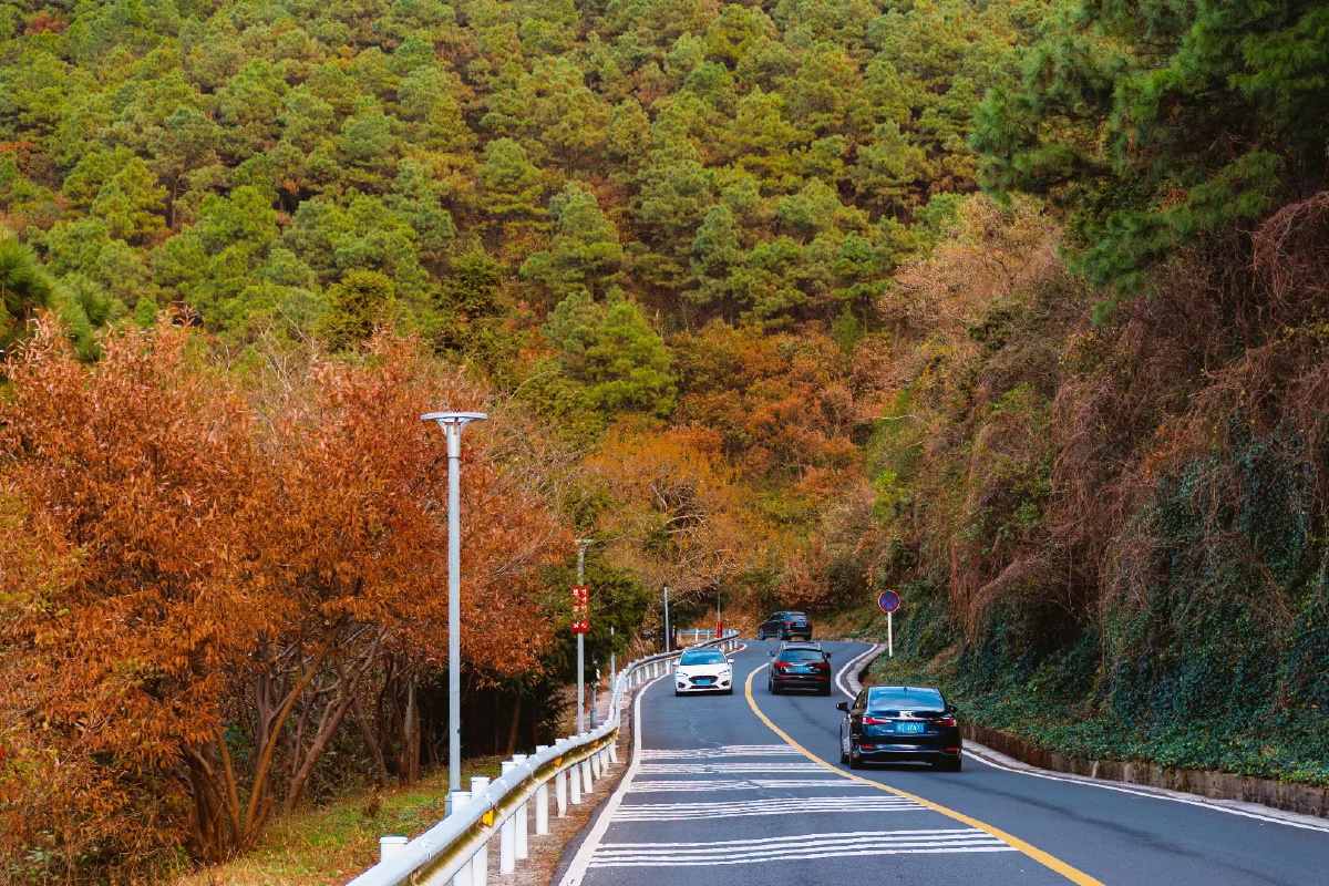 网红打卡点盘山公路风景十分优美很不错