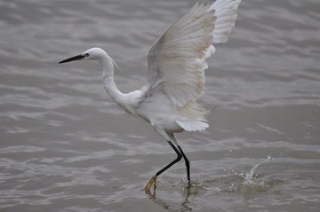 DSC_0673.JPG