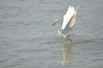 DSC_0010.JPG