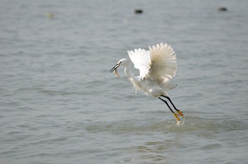 DSC_0011.JPG