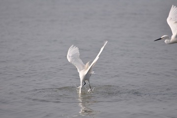 DSC_0662.JPG
