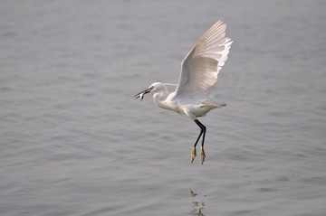 DSC_0779.JPG