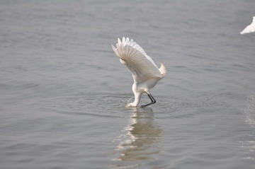 DSC_0797.JPG