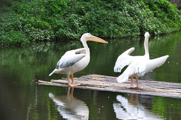 DSC_0405.JPG