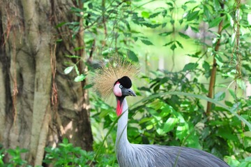 DSC_0430.JPG