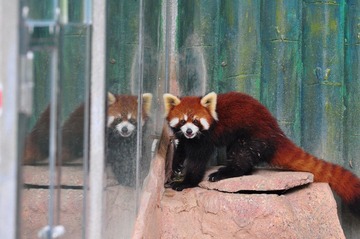 DSC_0514.JPG