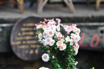 DSC_0473.JPG