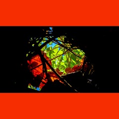 5BC216D3-3D42-4842-88F3-7C12653D2CA3/L0/001