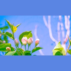 8523F49A-6909-4C7A-BC13-C331F374DE88/L0/001