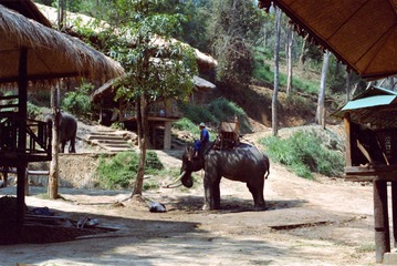 Scan-130430-0002.jpg