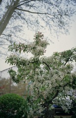 380503