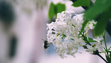 F922138B-6D01-48E2-9CE7-A78D74900C29/L0/001