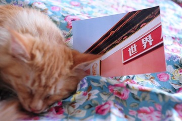 复件 照片 048.jpg
