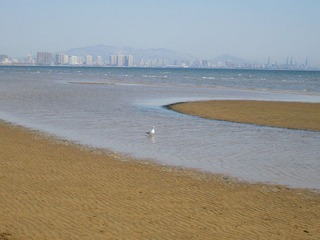 IMG_1582.JPG