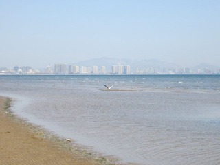 IMG_1585.JPG
