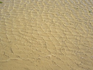 IMG_1592.JPG