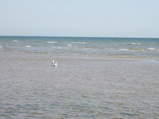 IMG_1599.JPG