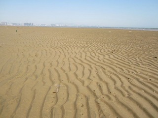 IMG_1604.JPG