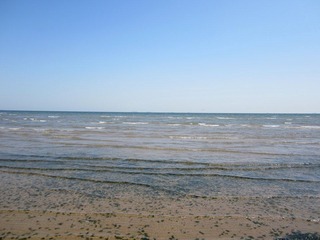 IMG_1687.JPG