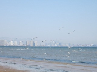 IMG_1692.JPG